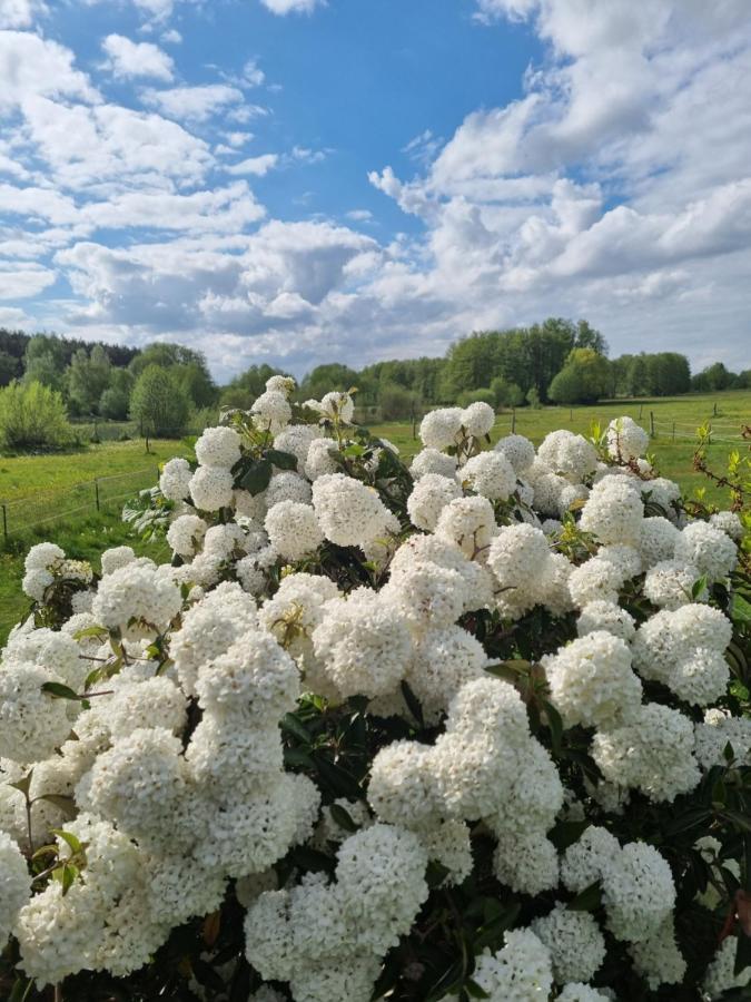 Woodhouse Spreewiesen Burig Exteriör bild